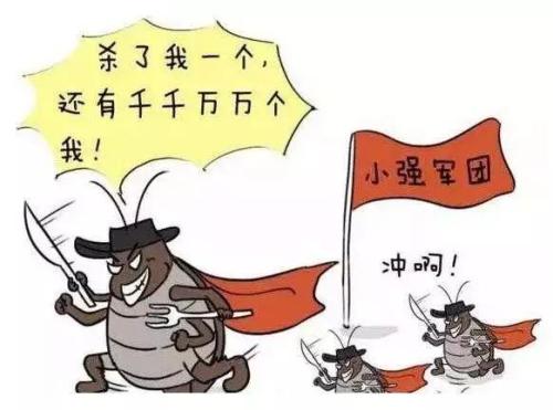 西安灭蟑螂